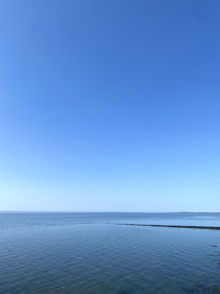 Waddenzee