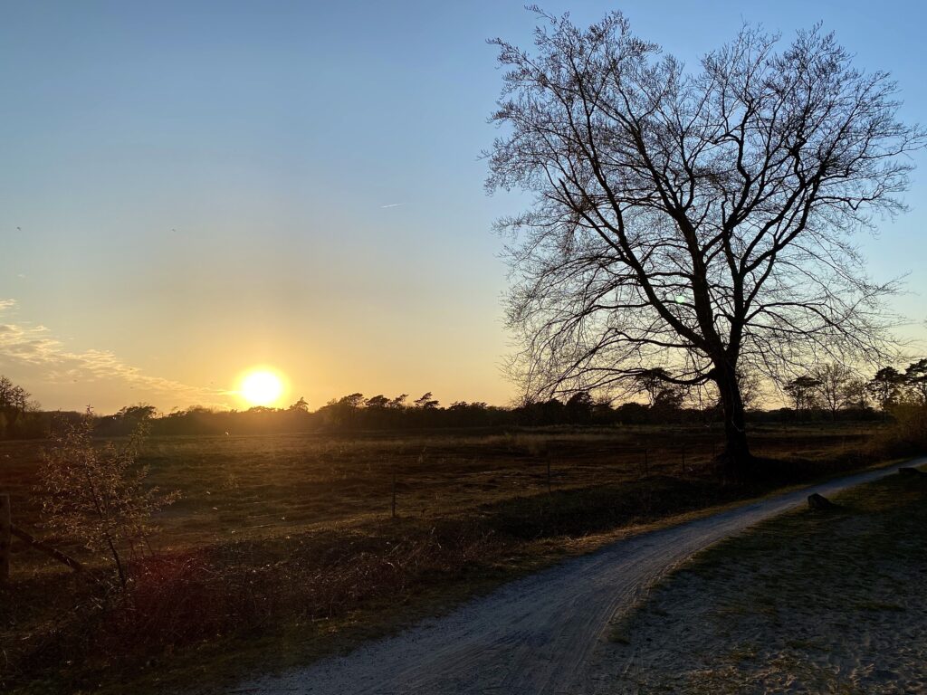 corona, sunset, zonnestralen 