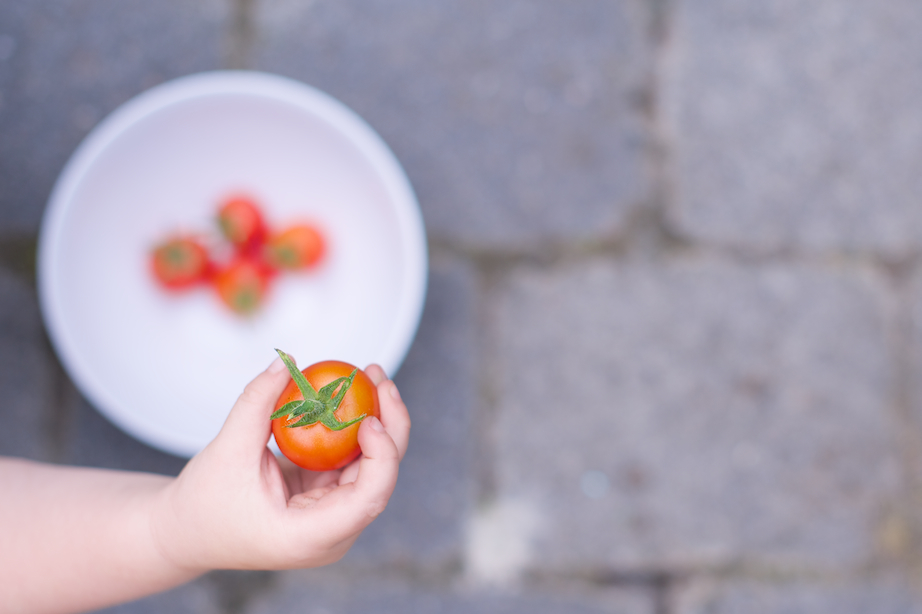 tomaten