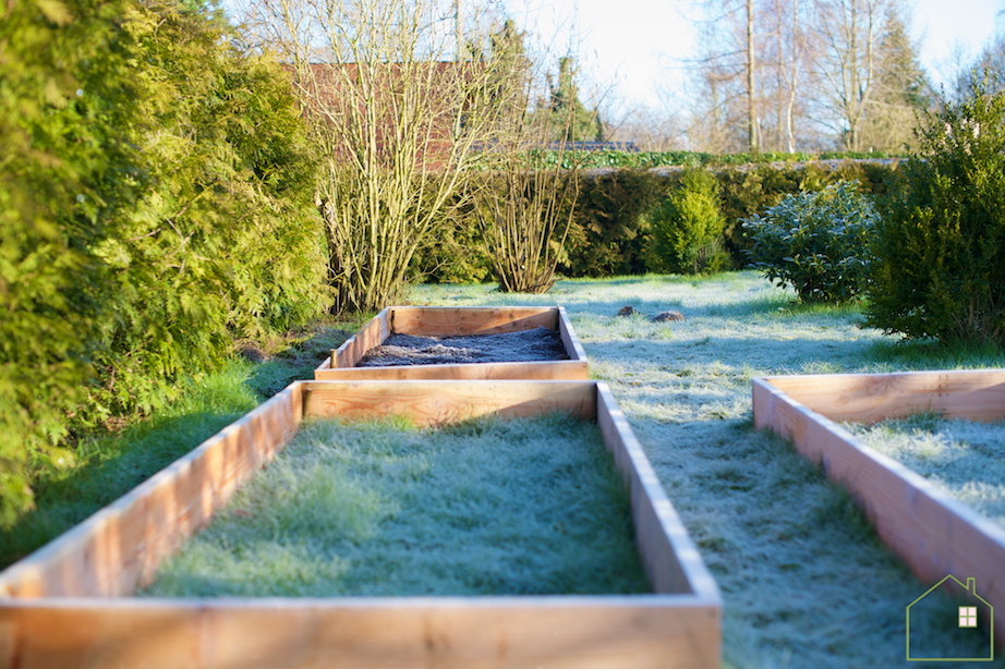 verhoogde moestuinbedden